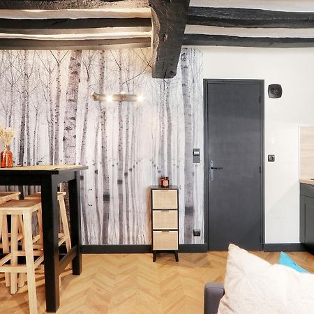 Le Moon, Bel Appartement Pres Du Parc Du Thabor Rennes Exterior foto