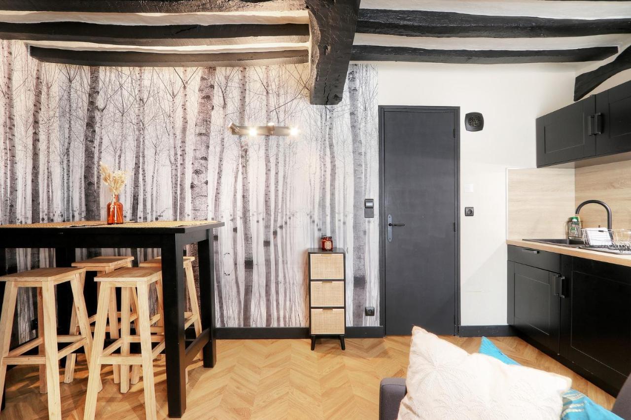 Le Moon, Bel Appartement Pres Du Parc Du Thabor Rennes Exterior foto